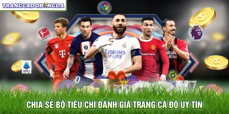 Chia sẻ bộ tiêu chí đánh giá trang cá độ uy tín