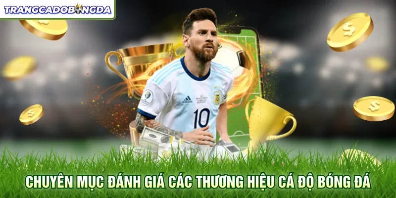 Chuyên mục đánh giá các thương hiệu cá độ bóng đá