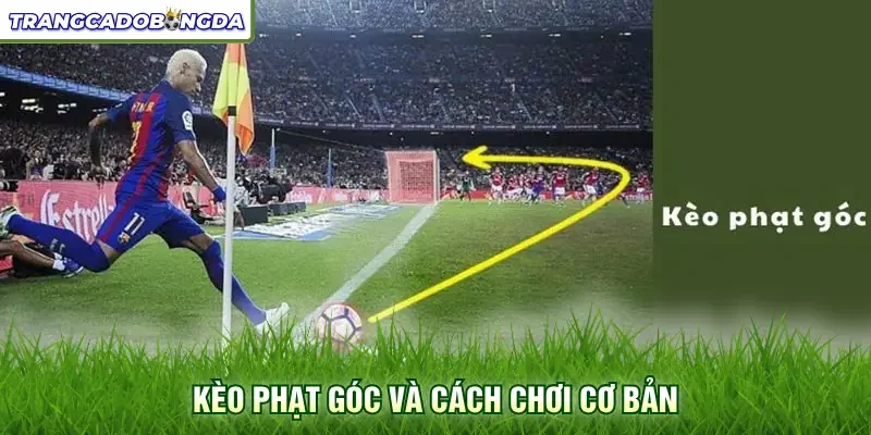 Kèo phạt góc và cách chơi cơ bản