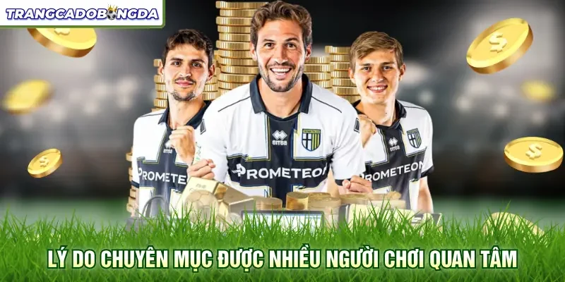 Lý do chuyên mục được nhiều người chơi quan tâm