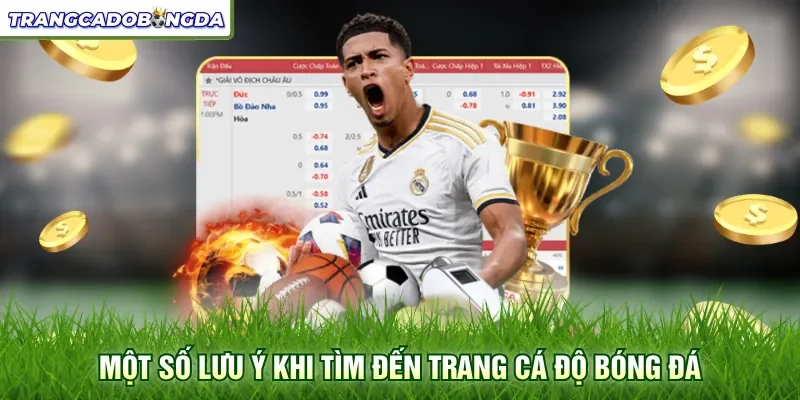 Một số lưu ý khi tìm đến trang cá độ bóng đá