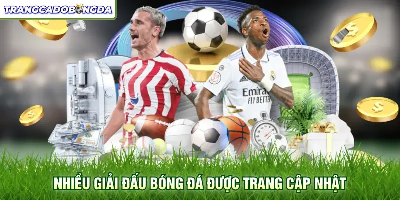Nhiều giải đấu bóng đá được trang cập nhật