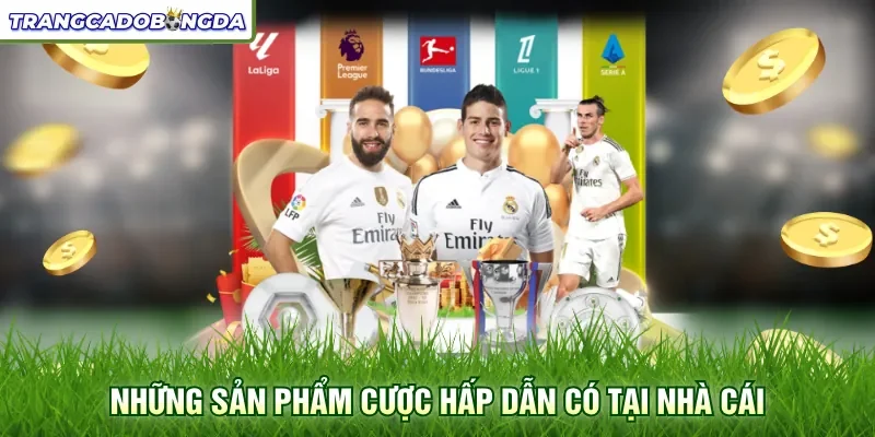 Những sản phẩm cược hấp dẫn có tại nhà cái
