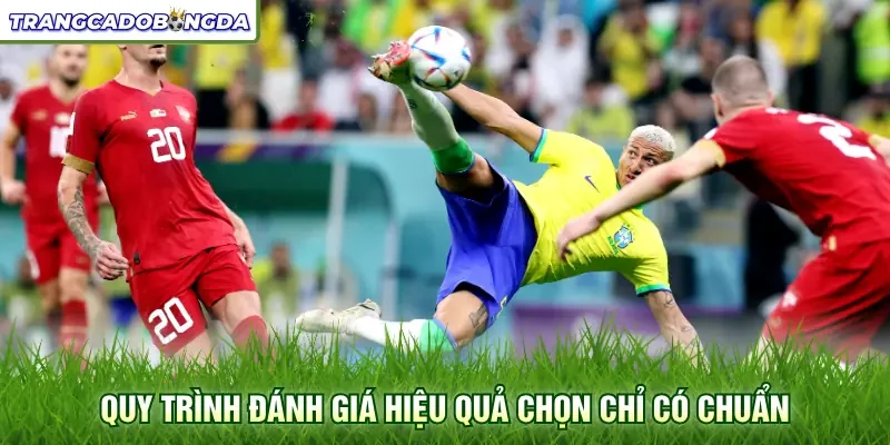 Quy trình đánh giá hiệu quả chọn chỉ có chuẩn