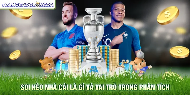 Soi kèo nhà cái là gì và vai trò trong phân tích