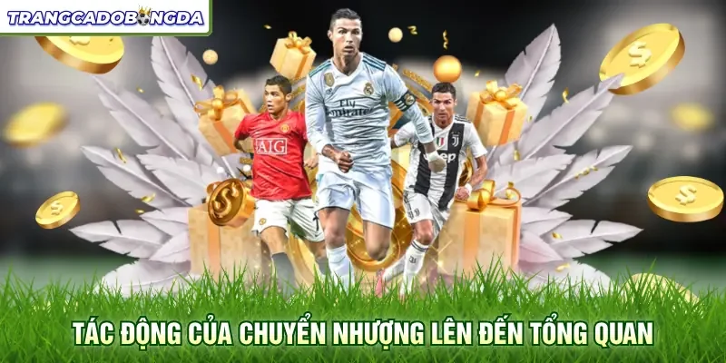 Tác động của chuyển nhượng lên đến tổng quan