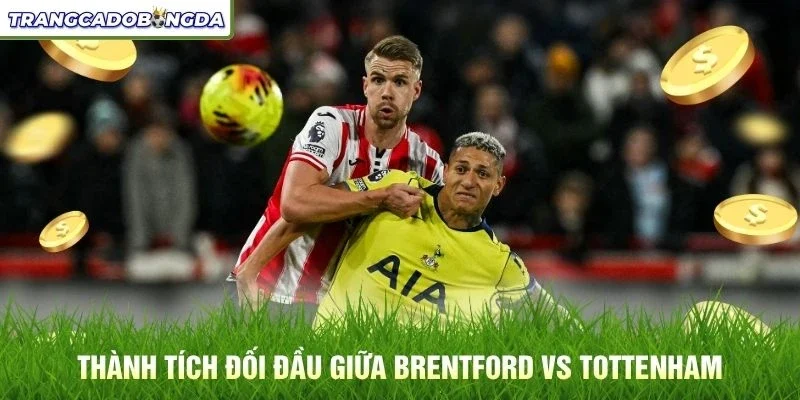 Thành tích đối đầu giữa Brentford vs Tottenham