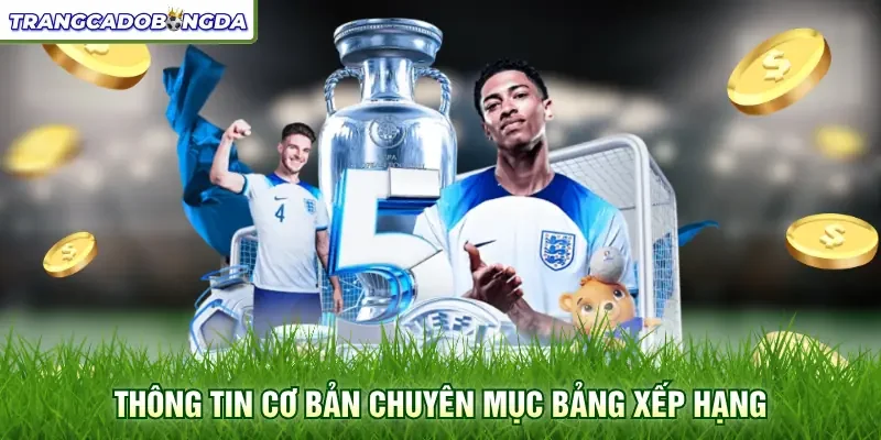 Thông tin cơ bản chuyên mục bảng xếp hạng