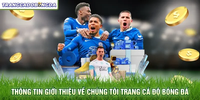 Thông tin giới thiệu về chúng tôi trang cá độ bóng đá