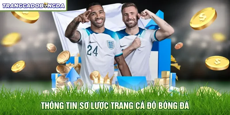 Thông tin sơ lược trang cá độ bóng đá