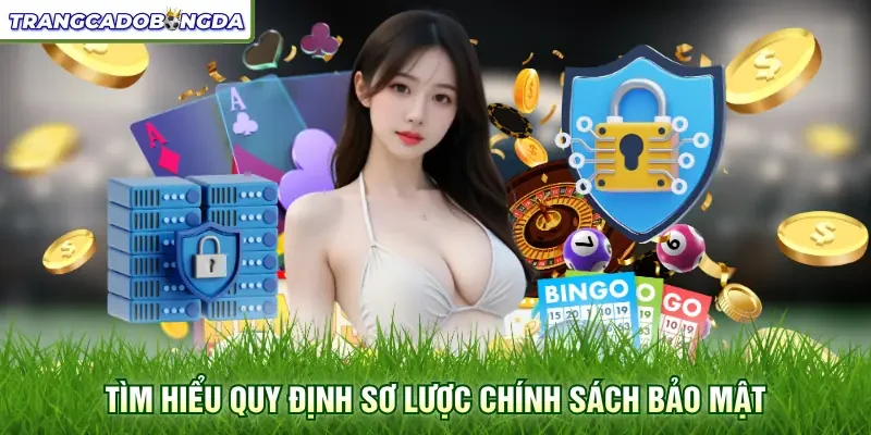 Tìm hiểu quy định sơ lược chính sách bảo mật