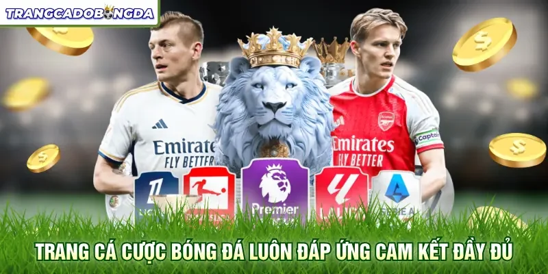 Trang cá cược bóng đá luôn đáp ứng cam kết đầy đủ