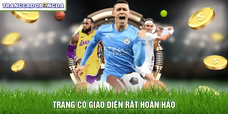 Trang có giao diện rất hoàn hảo